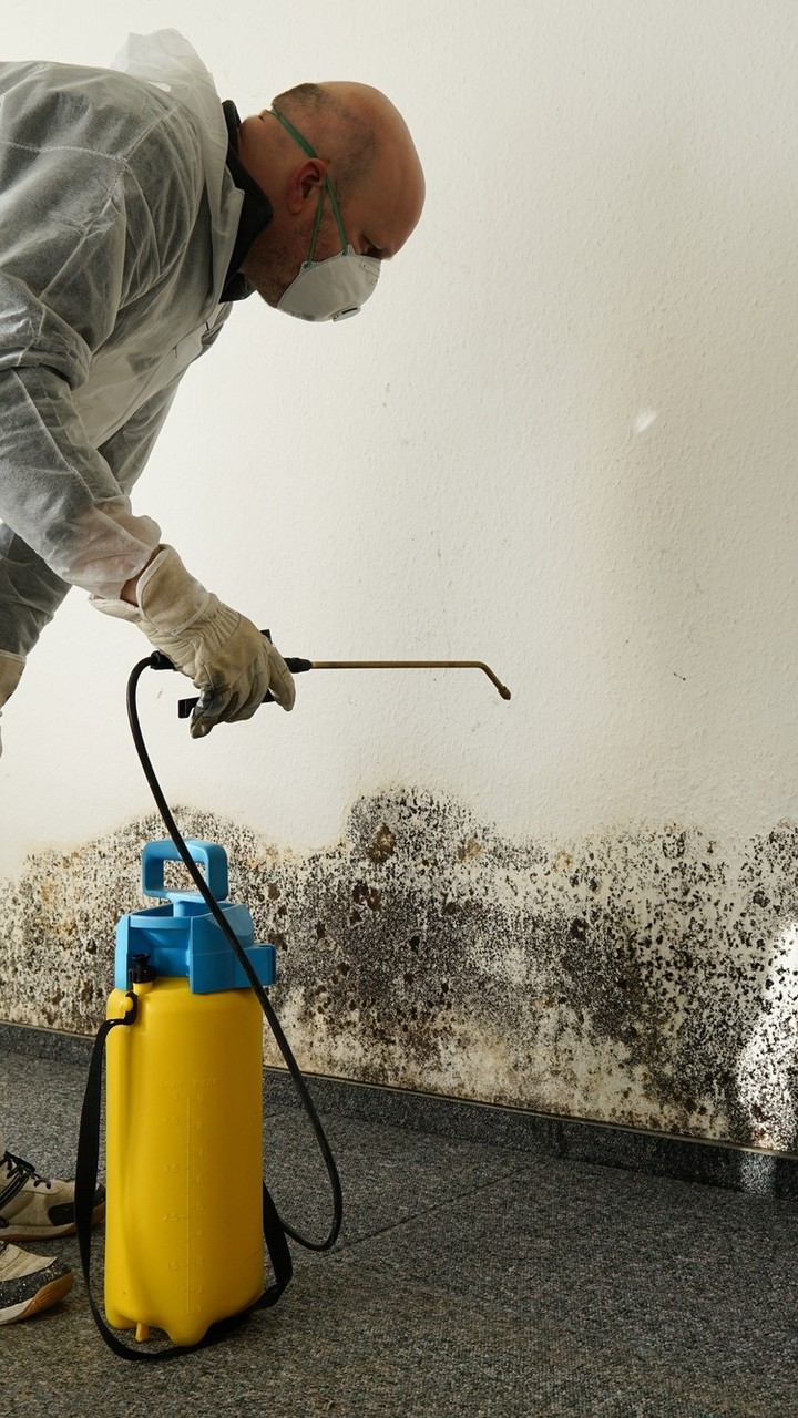 Professional water damage restoration service
